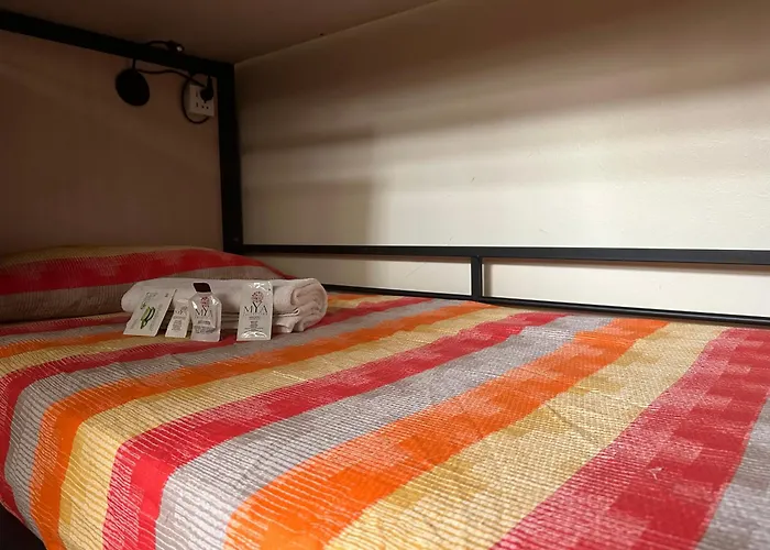 Cconforthotels Host 호스텔