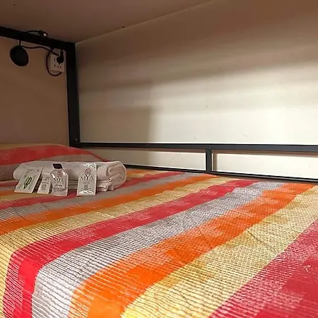 Cconforthotels Host *